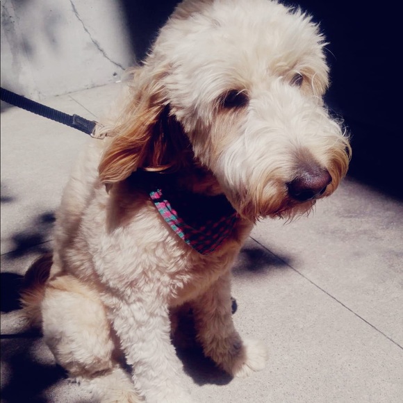 Meet your Posher, Christina - Picture 1 of 1